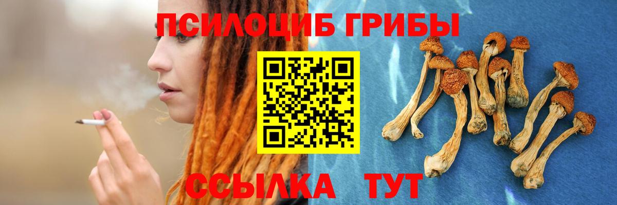 Галлюциногенные грибы мухоморы Шали