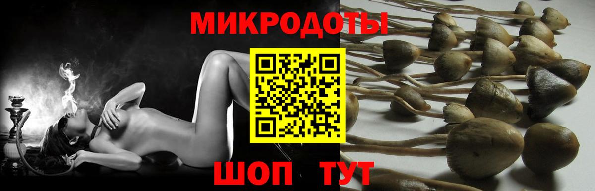 Шали  Псилоцибиновые грибы MAGIC MUSHROOMS  Вход с VPN 